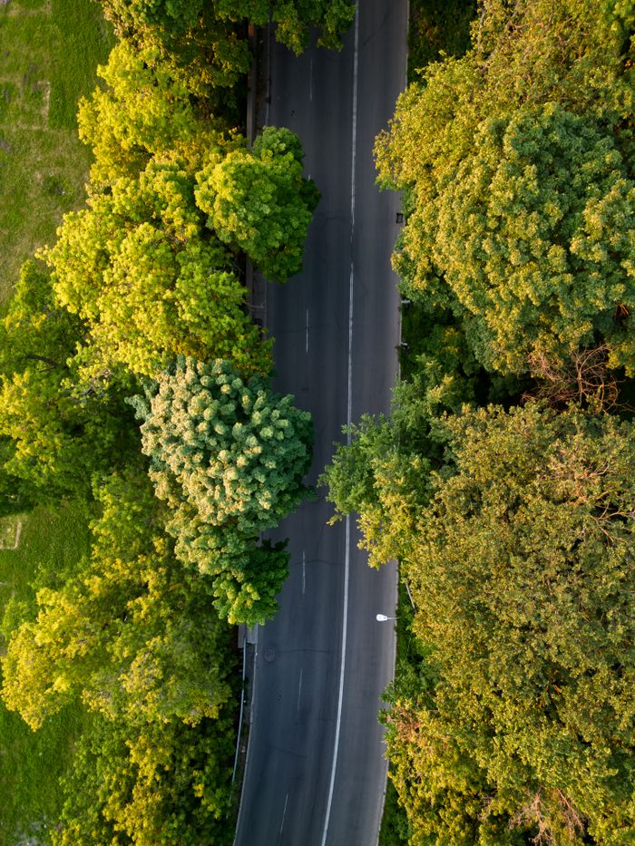 Mastering the First Impression: Your intriguing post title goes here Stunning aerial view of a road winding through lush green trees in Ottawa, Canada.